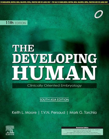 The Developing Human: Clinically Oriented Embryology 11 Edition South Asia Edition